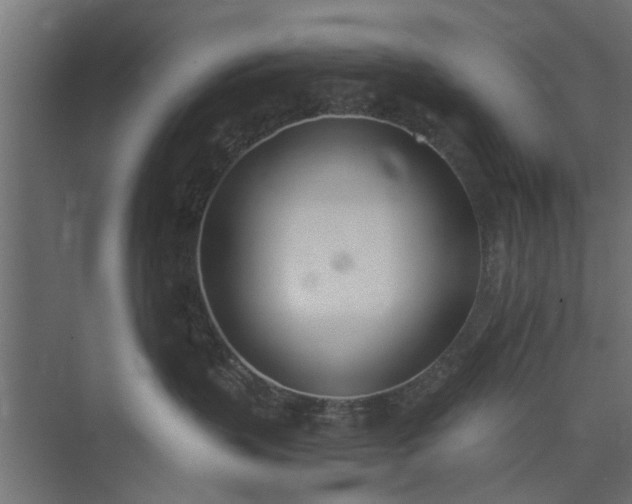 X0000073920383200608251556