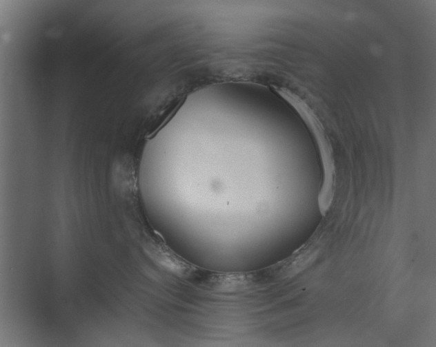 X0000073920384200608251556