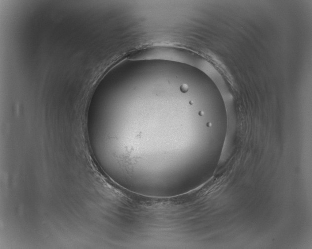 X0000073920385200608251555