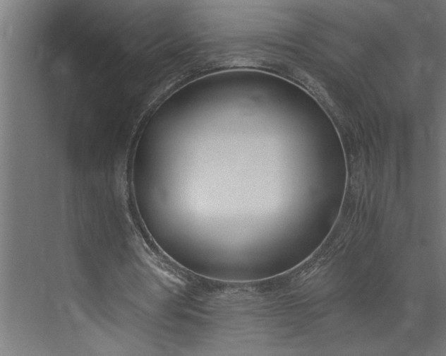 X0000073920386200608251555