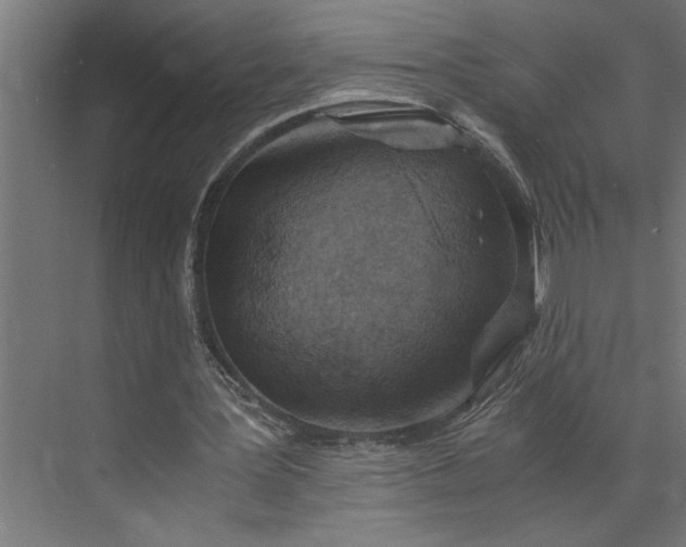 X0000073920387200608251555