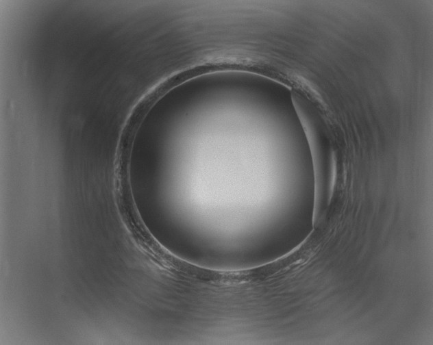 X0000073920388200608251555