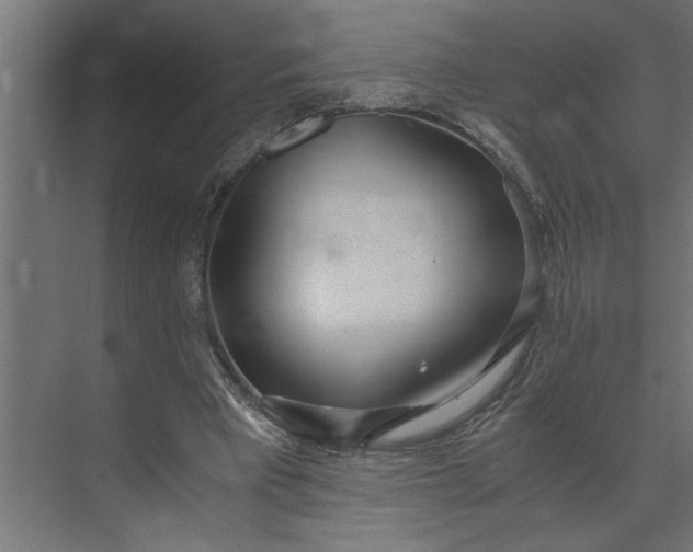 X0000073920393200608251555