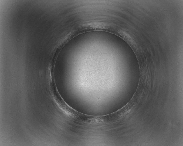 X0000073920398200608251555