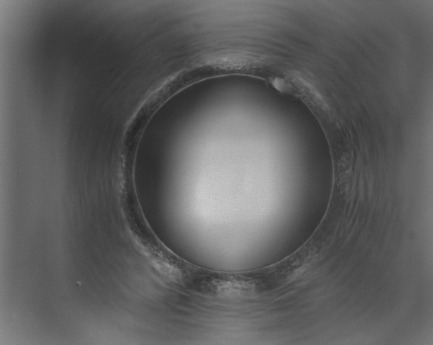 X0000073920400200608251555