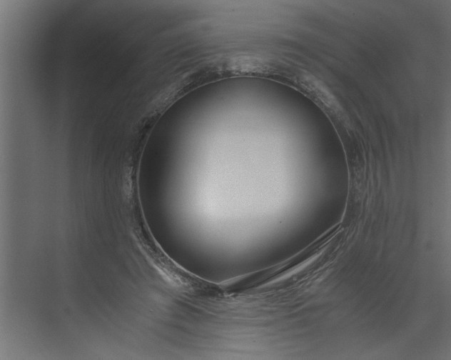 X0000073920401200608251555