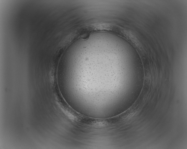 X0000073920402200608251554