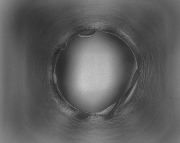 X0000073920403200608251554