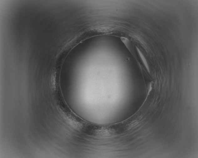 X0000073920404200608251554