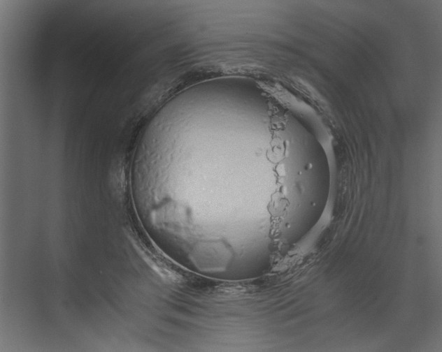 X0000073920405200608251554