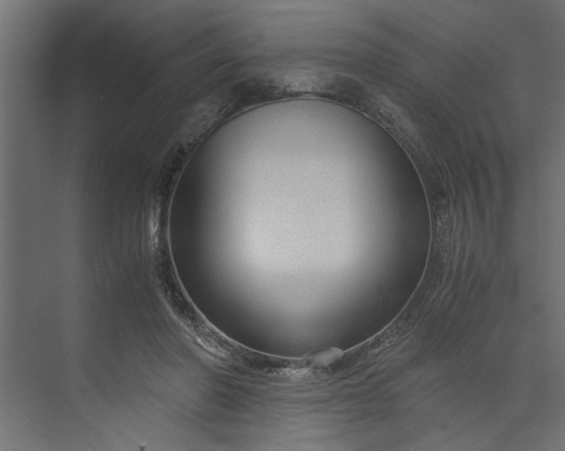 X0000073920406200608251554