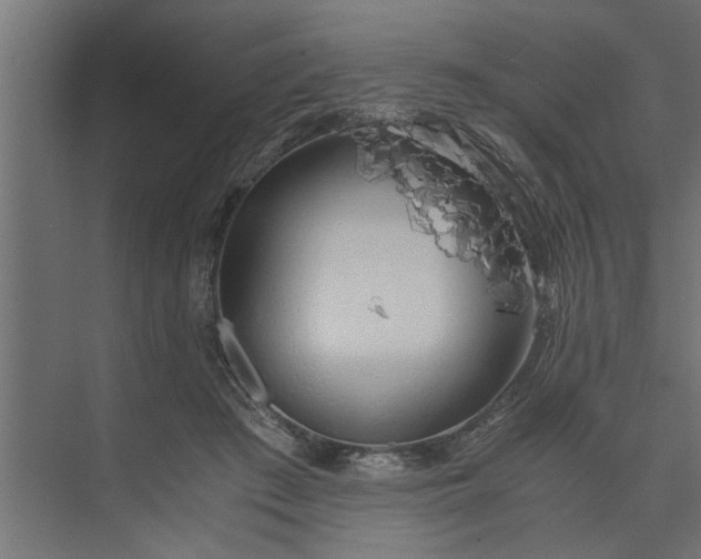 X0000073920409200608251554