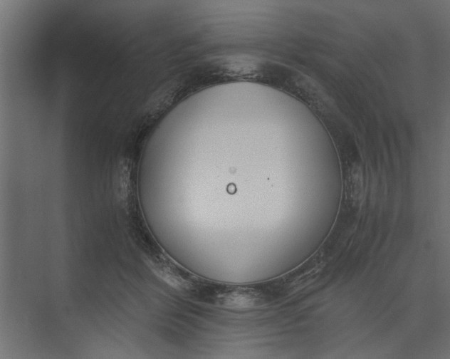 X0000073920412200608251554