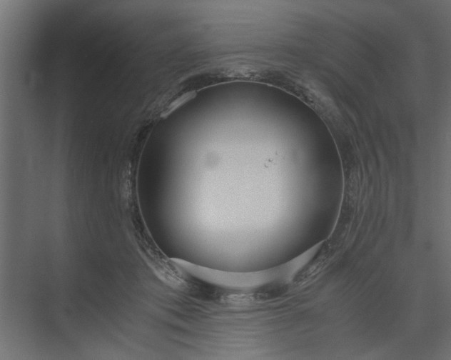 X0000073920413200608251554