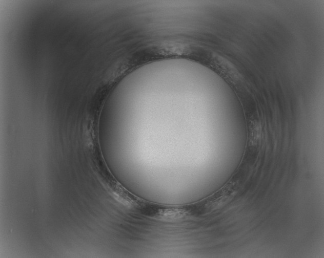 X0000073920414200608251554