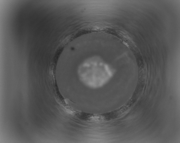 X0000073920415200608251554