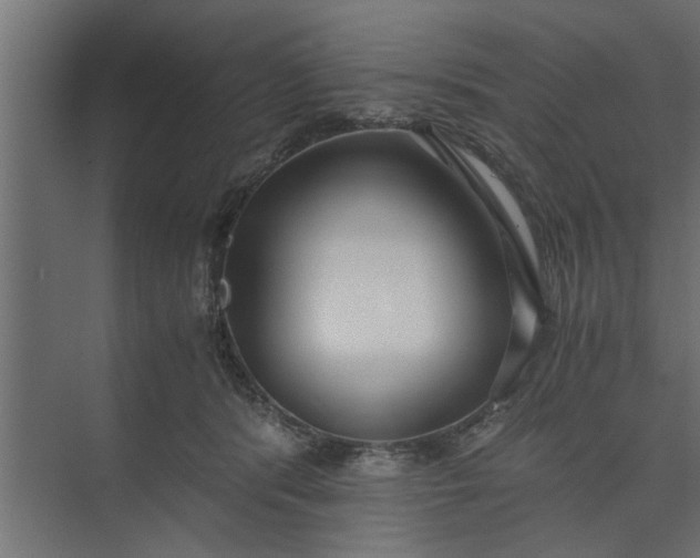 X0000073920416200608251554