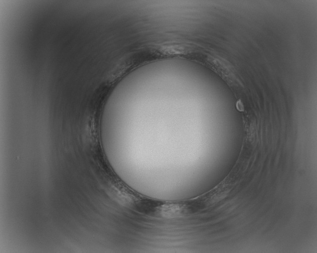 X0000073920418200608251554