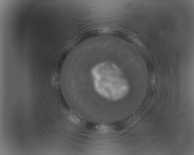 X0000073920419200608251554