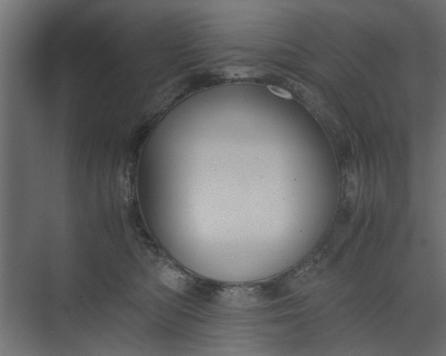 X0000073920422200608251554