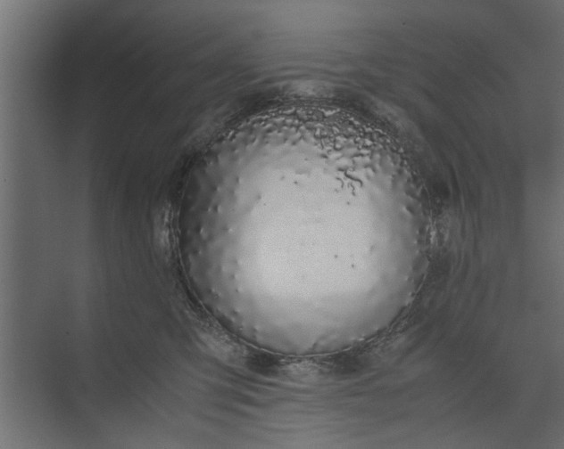 X0000073920423200608251554