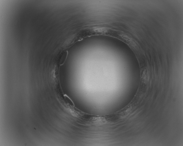 X0000073920424200608251554