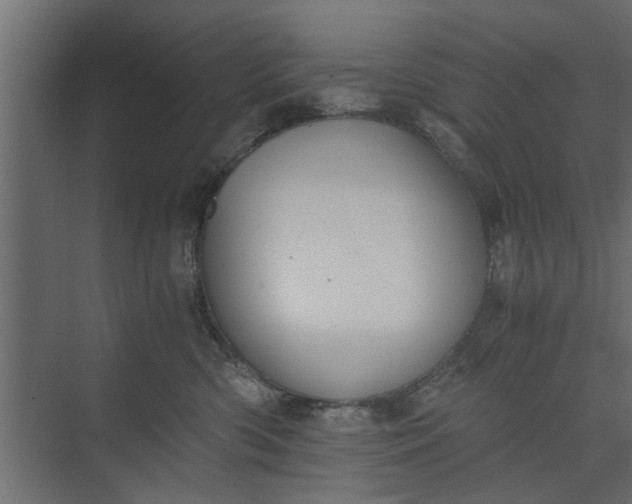 X0000073920426200608251554