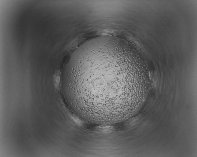 X0000073920427200608251554