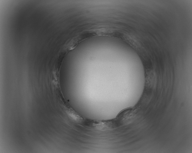 X0000073920430200608251554