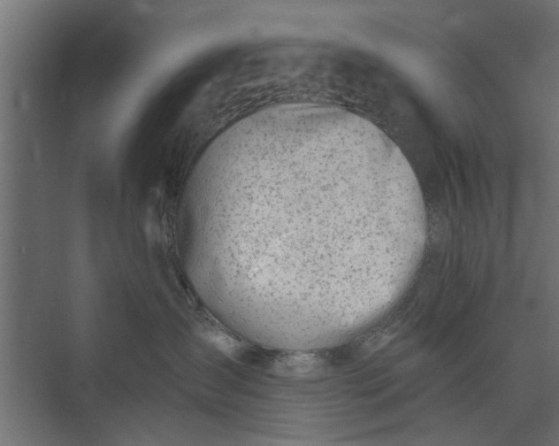 X0000073920431200608251554