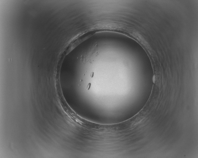 X0000073920434200608251553