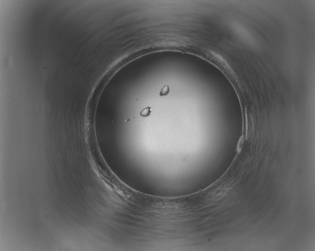 X0000073920435200608251553