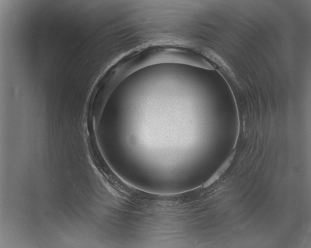 X0000073920436200608251553