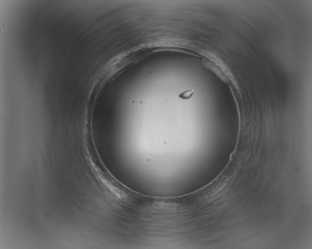 X0000073920437200608251553