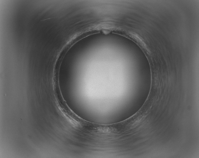 X0000073920439200608251553