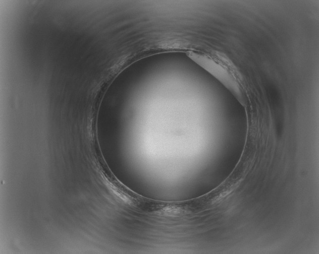 X0000073920441200608251553