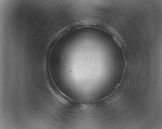 X0000073920442200608251553