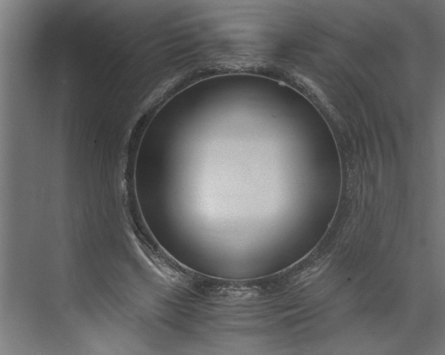 X0000073920443200608251553