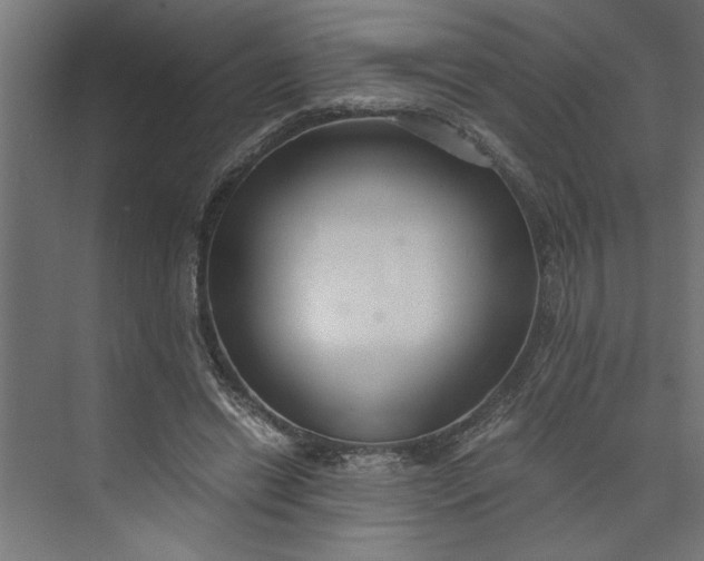 X0000073920446200608251553