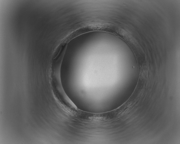 X0000073920448200608251553