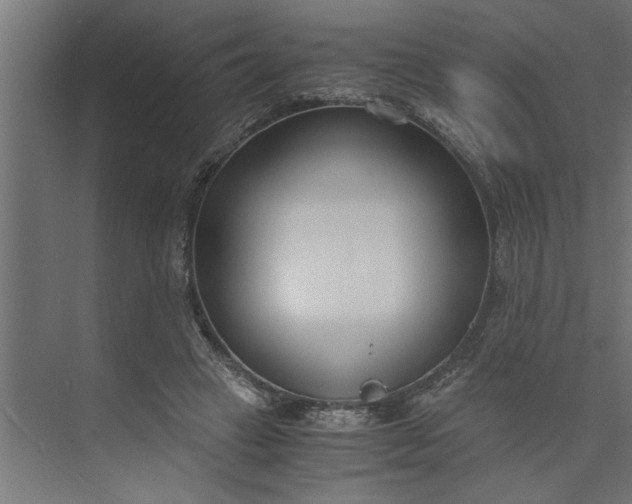 X0000073920449200608251553