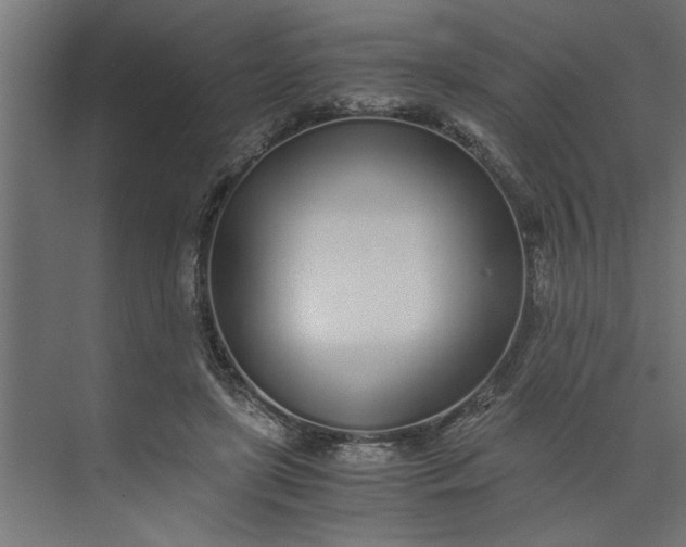 X0000073920451200608251553