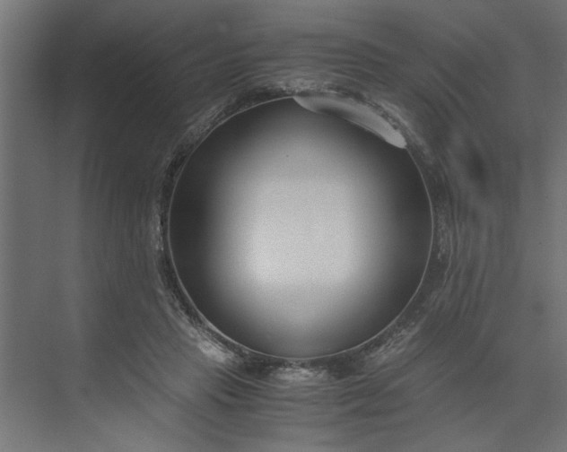 X0000073920453200608251554