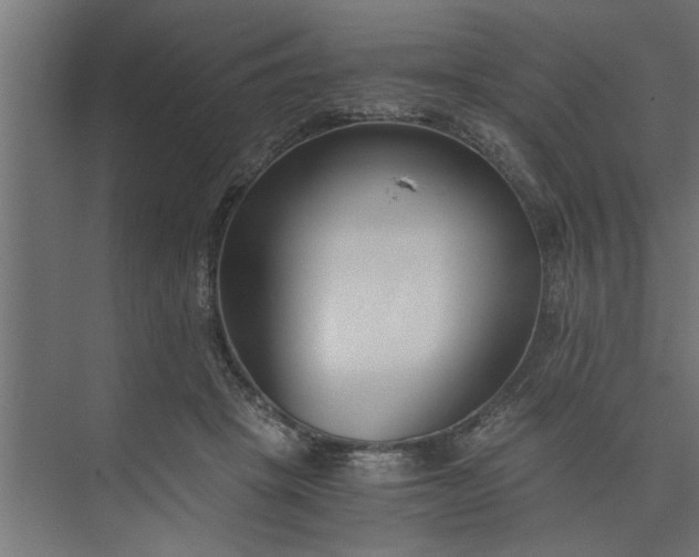 X0000073920457200608251554