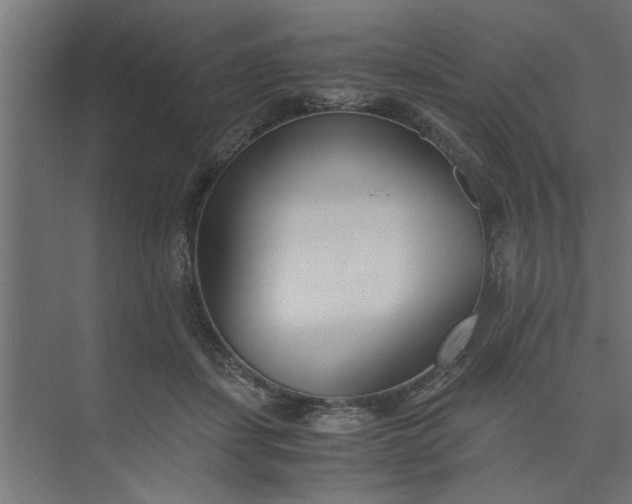 X0000073920459200608251554