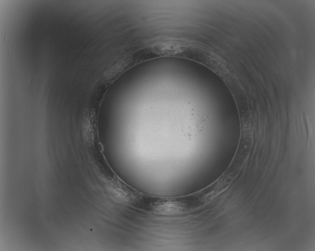 X0000073920460200608251554