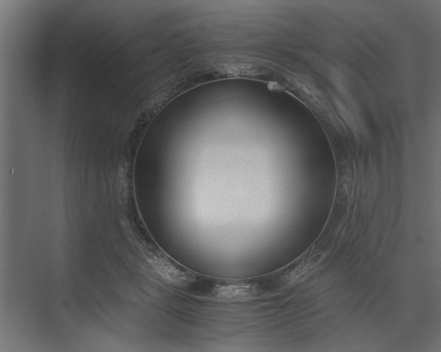 X0000073920461200608251554