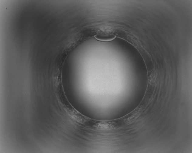 X0000073920464200608251554