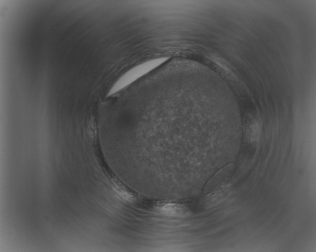 X0000073920467200608251554