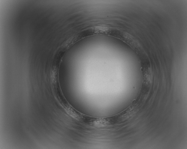 X0000073920468200608251554